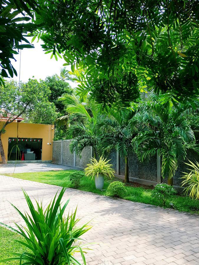 Sea Breeze Deluxe Inn Negombo Eksteriør billede